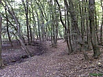 ösvényen