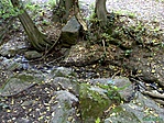 patak