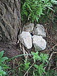A rejtek