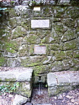 Forrás