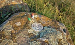 GCHAVA_2011079193004.jpg