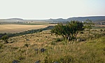 GCHAVA_2011079193032.jpg