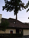 Ezt Visegrádon az Apát-kúti völgy fele láthatod
