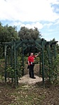 a kertben