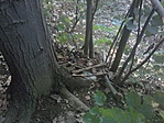 GCSAKI_20110715191920.jpg