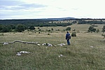 GCNEKE_20110731111153.jpg