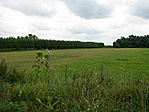 Távlatok