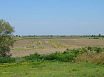 Olajmező