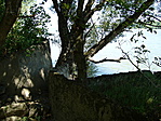 Keszonok