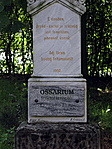 Ösi csontok