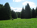 Zselici ládázás 2011.