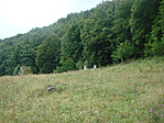 Környezet