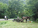 Árus