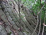Bazaltoszlopok