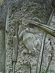 béka