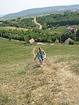 Cica mászik