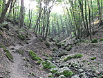 Szurdok