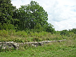Falrészlet