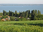 kilátás