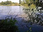 Kis-Dunai vízivilág