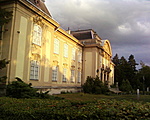 Múzeum