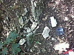 GCKIL_20110813123347.jpg