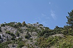 Lentről