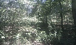 GCSMSK_20110814135749.jpg