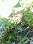 GCzsig_20110819150956.jpg