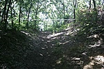 GCORDD_20110811141002.jpg