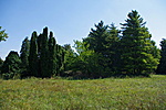 Park lehetett egykor