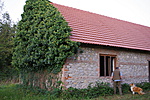 Elhagyott házak