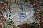 Forrás