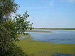 Tisza-tó