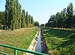 Rákos patak