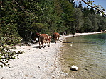 strandolók
