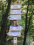 Innen nincs messze Mariazell és Csíksomlyó