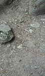 GChold_20110910114651.jpg