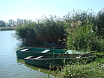 Parkoló