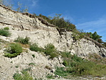 Löszfal