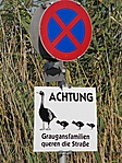 Figyelnek az állatokra