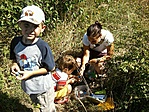GCpeep_2011094134658.jpg