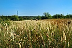 helyszín