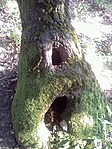 GCPANO_2011094170341.jpg
