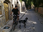 nyúli pincesor és füles :)