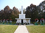56-os áldozatok sírjai 