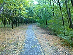 Az "út"