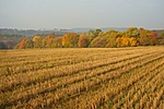 napsütés