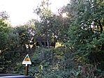 Parkoló