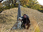 Arthuristák